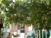 2002-08-03-SY-19.jpg (76473 bytes)