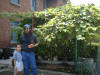 2002-08-03-SY-21.jpg (64613 bytes)
