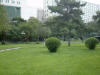 2002-08-10-SY-34.jpg (49317 bytes)