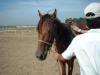 2002-09-06-SY-18.jpg (44861 bytes)