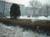 2002-12-Var-SY-16.jpg (67726 bytes)