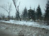 2002-12-Var-SY-20.jpg (64632 bytes)
