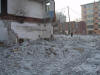 2003-01-05-SY-12.jpg (60512 bytes)