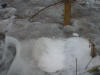 2003-01-05-SY-27.jpg (55671 bytes)
