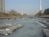 2003-01-12-SY-04.jpg (44479 bytes)