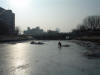 2003-01-12-SY-11.jpg (38392 bytes)