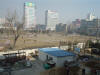 03-19-2003-SY-6.JPG (54311 bytes)