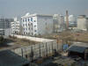 03-19-2003-SY-7.JPG (50377 bytes)
