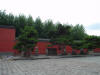 2003-06-12-SY-48.jpg (44624 bytes)