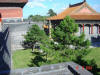 2003-08-10-SY-016.jpg (75320 bytes)
