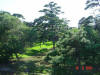 2003-08-10-SY-021.jpg (74419 bytes)