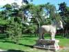 2003-08-10-SY-026.jpg (94401 bytes)