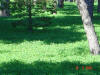 2003-08-10-SY-027.jpg (84624 bytes)