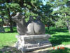 2003-08-10-SY-028.jpg (87855 bytes)