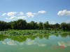 2003-08-10-SY-055.jpg (40412 bytes)