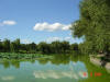 2003-08-10-SY-056.jpg (49947 bytes)