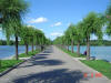 2003-08-10-SY-071.jpg (66803 bytes)