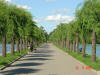 2003-08-10-SY-072.jpg (70536 bytes)