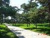 2003-08-10-SY-101.jpg (80055 bytes)