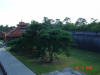 2003-08-10-SY-141.jpg (40872 bytes)