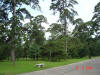 2003-08-16-P10-SY-001.jpg (77360 bytes)