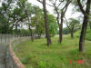 2003-08-16-P10-SY-015.jpg (86501 bytes)