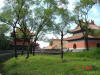 2003-08-16-P10-SY-017.jpg (90980 bytes)