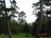 2003-08-16-P10-SY-023.jpg (64391 bytes)