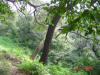 2003-08-16-P10-SY-047.jpg (105423 bytes)