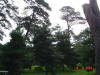 2003-08-16-P10-SY-048.jpg (63792 bytes)
