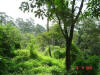 2003-08-16-P10-SY-049.jpg (99628 bytes)