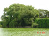2003-08-16-P10-SY-081.jpg (62310 bytes)