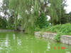 2003-08-16-P10-SY-102.jpg (81164 bytes)