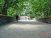 2003-08-16-P10-SY-140.jpg (71537 bytes)