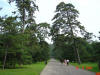 2003-08-16-P10-SY-160.jpg (68334 bytes)