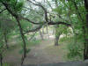 2003-08-16-U20-SY-13.jpg (81829 bytes)