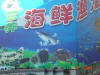 2003-08-22-SY-052.jpg (52429 bytes)
