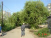 2003-08-22-SY-080.jpg (73664 bytes)