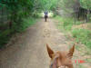 2003-08-31-Dave-SY-02.jpg (64032 bytes)
