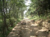 2003-08-31-SY-03.jpg (85386 bytes)