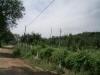 2003-08-31-SY-07.jpg (56783 bytes)
