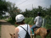 2003-08-31-SY-08.jpg (61681 bytes)