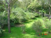 2003-09-05-SY-011.jpg (94642 bytes)