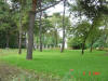 2003-09-05-SY-013.jpg (85204 bytes)
