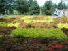 2003-09-05-SY-015.jpg (108399 bytes)