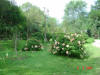 2003-09-05-SY-018.jpg (79677 bytes)