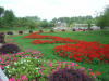 2003-09-05-SY-023.jpg (77138 bytes)