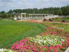 2003-09-05-SY-026.jpg (91262 bytes)