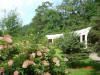 2003-09-05-SY-042.jpg (96039 bytes)