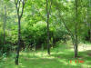 2003-09-05-SY-058.jpg (102265 bytes)